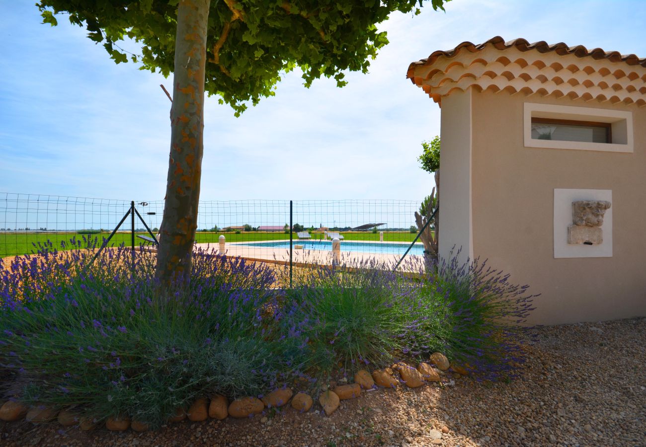 House in Arles - Vacation rental house with pool MOULES LS3-299