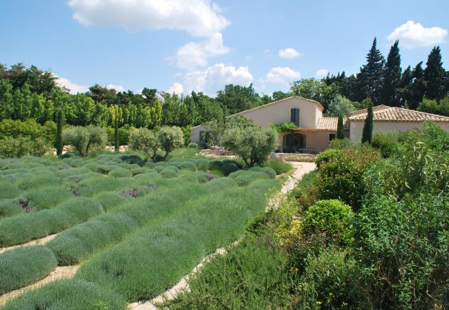 Villa in Maussane-les-Alpilles - Holiday rental with pool MAUSSANE LS1-226 Villa in Maussane-les-Alpilles - Holiday rental with pool MAUSSANE LS1-226