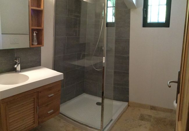 Villa in Maussane-les-Alpilles - Holiday rental with pool MAUSSANE LS1-226 Villa in Maussane-les-Alpilles - Holiday rental with pool MAUSSANE LS1-226