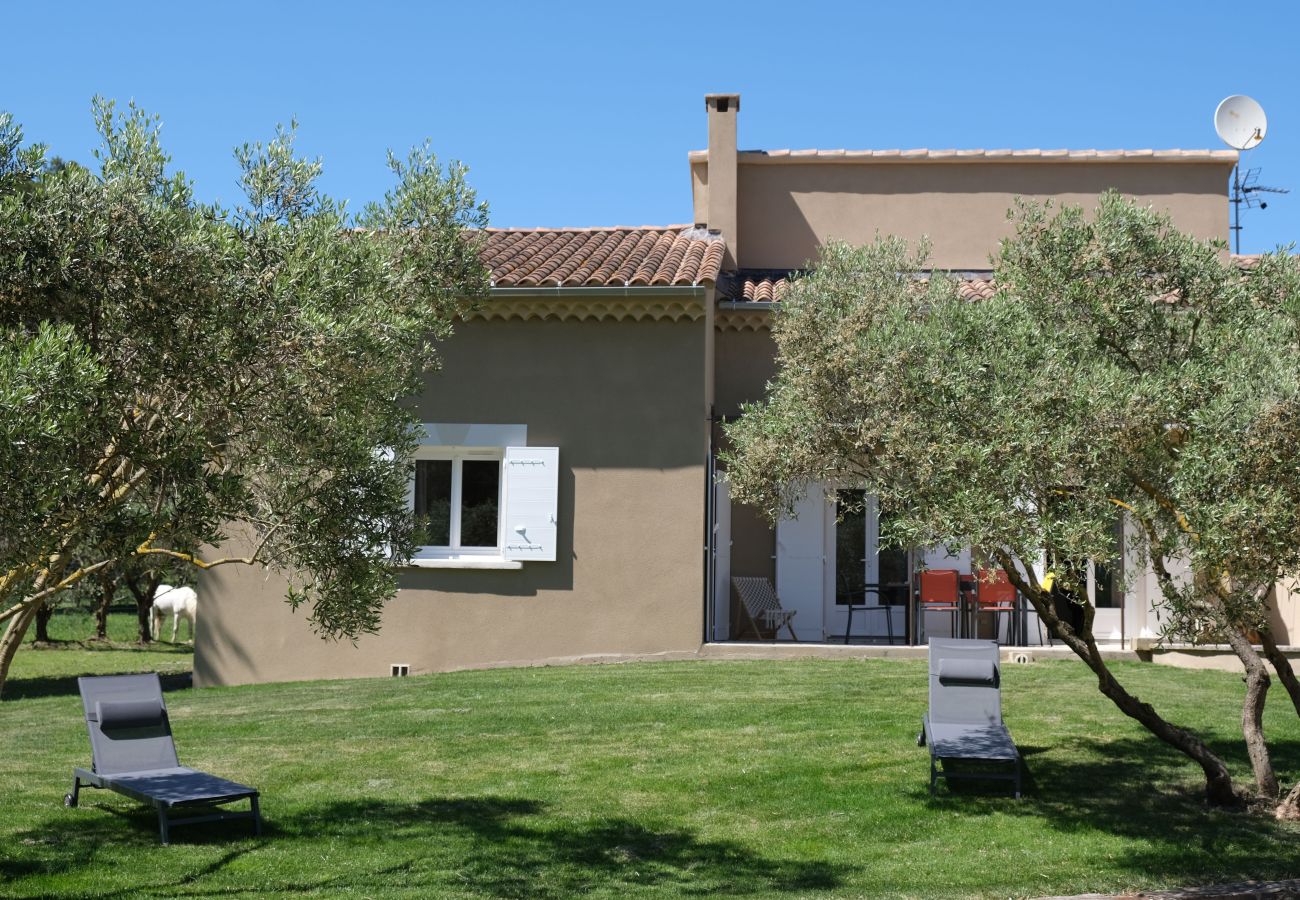 Holidays rental SAINT-RÉMY-DE-PROVENCE house for rent