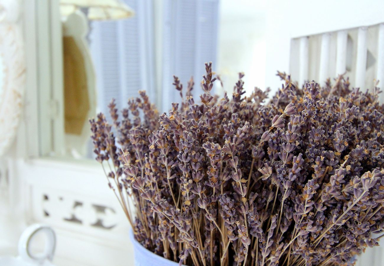 Villa in L´Isle sur la Sorgue - Luxury Farm Jacuzzi, Heated pool in L'Isle sur la Sorgue