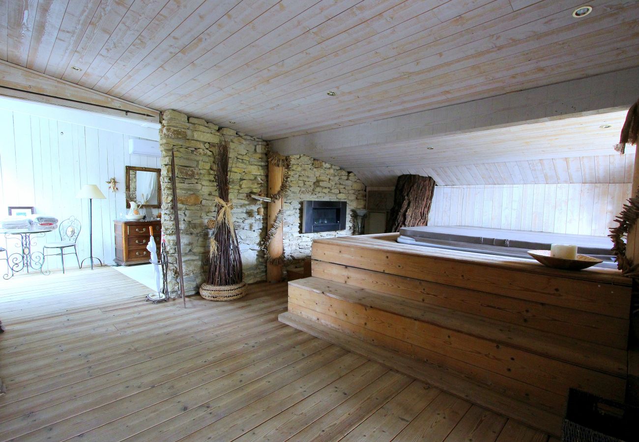 Holiday rental in l'Isle sur la Sorgue Provençal mas for rent jacuzzi