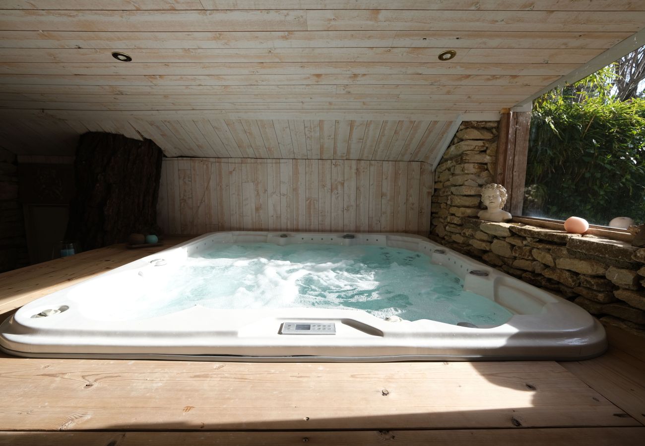 Holiday rental in L'Isle sur la Sorgue, Provençal mas jacuzzi