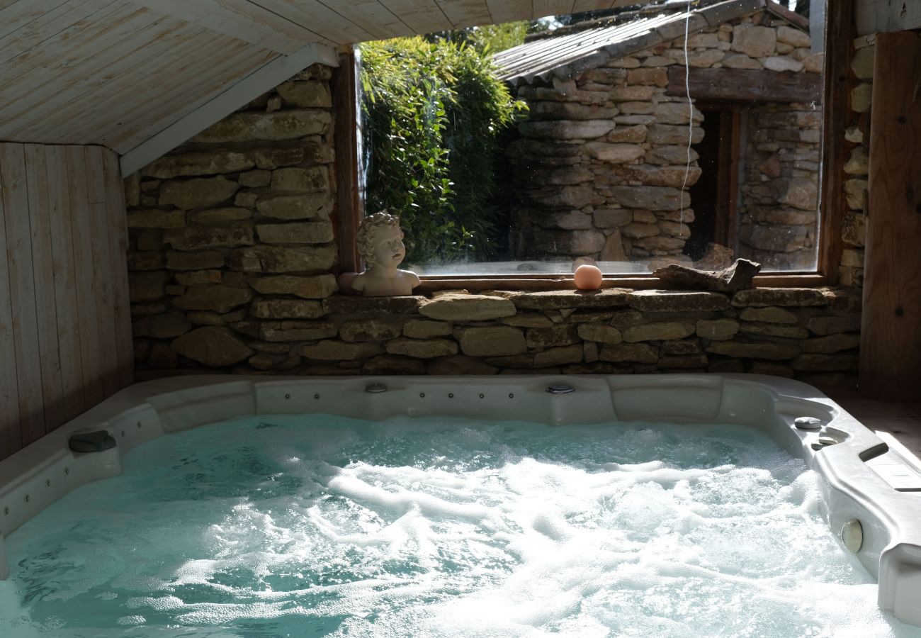 Villa in L´Isle sur la Sorgue - Luxury Farm Jacuzzi, Heated pool in L'Isle sur la Sorgue