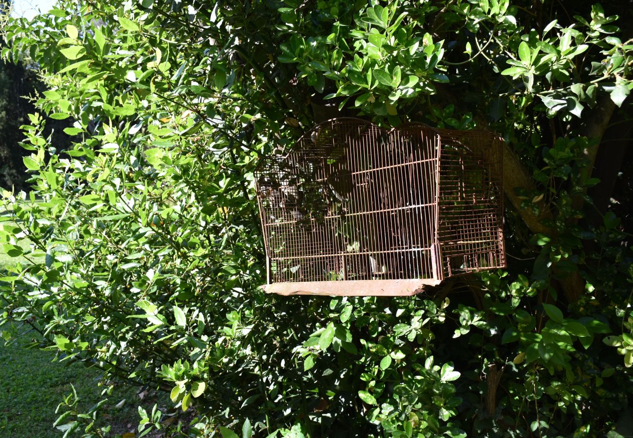 Villa in Saint Remy de Provence - Holidays rental with pool in Saint-Rémy-de-Provence