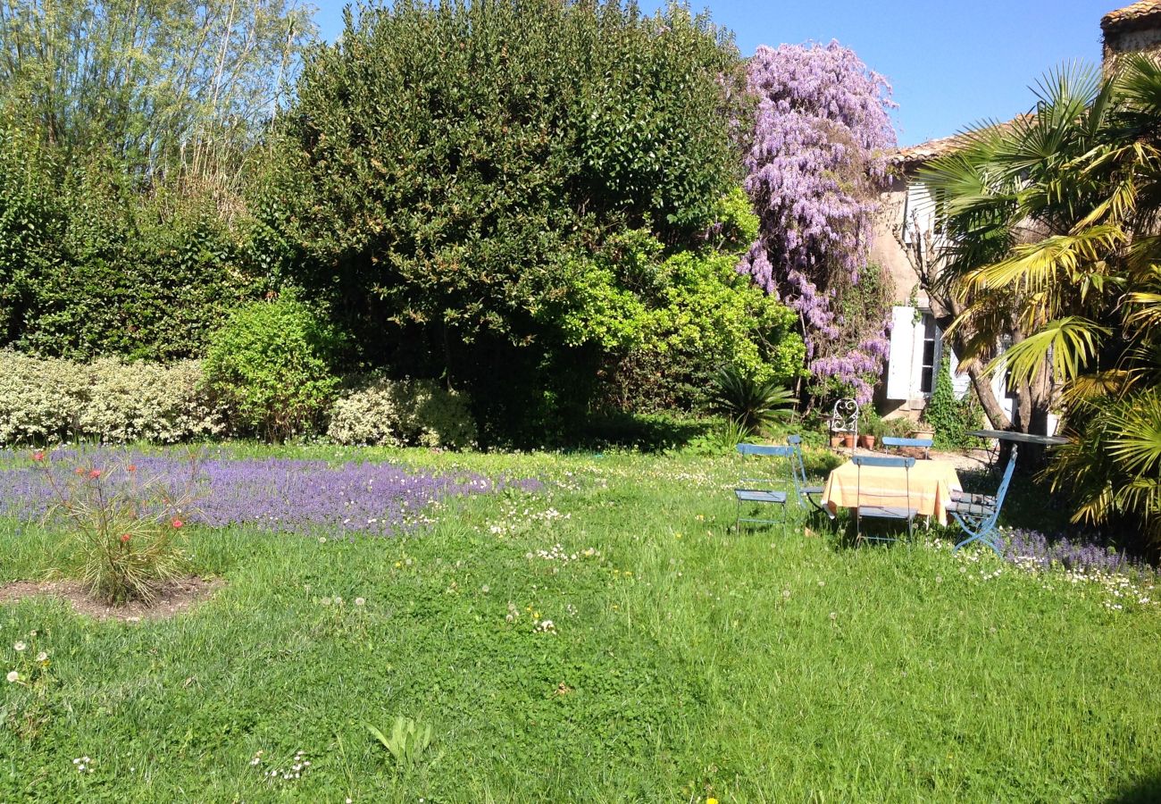 Villa in Saint Remy de Provence - Holidays rental with pool in Saint-Rémy-de-Provence