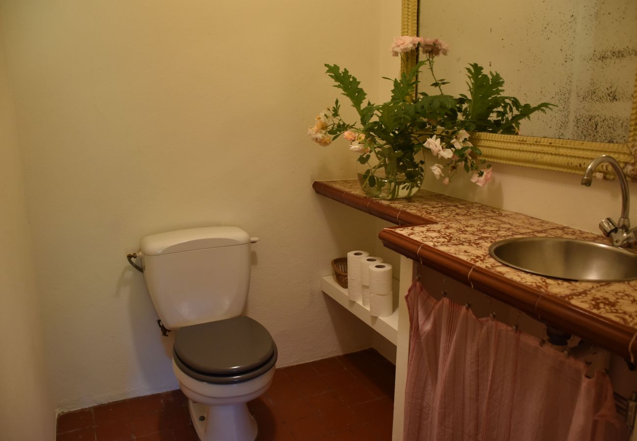 Villa in Saint Remy de Provence - Holidays rental with pool in Saint-Rémy-de-Provence