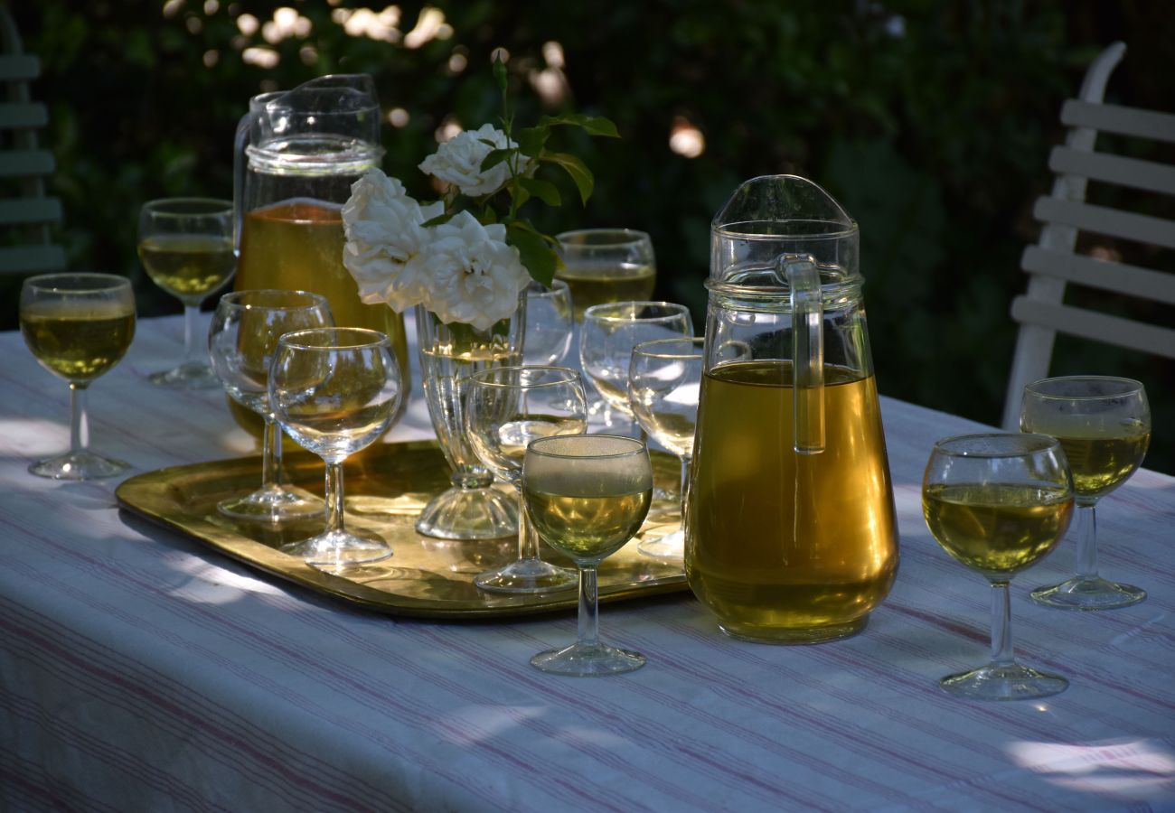 Villa in Saint Remy de Provence - Holidays rental with pool in Saint-Rémy-de-Provence