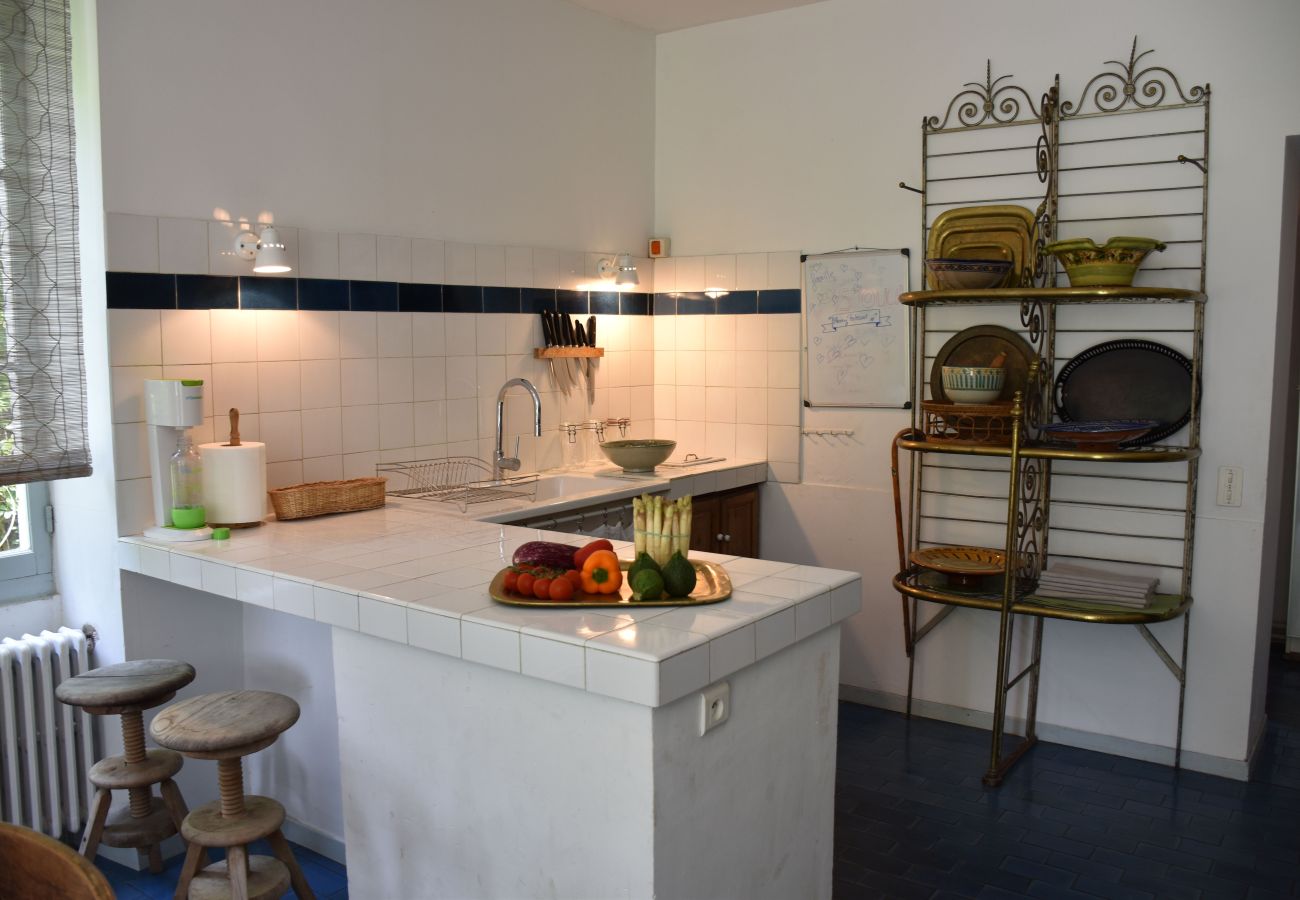 Villa in Saint Remy de Provence - Holidays rental with pool in Saint-Rémy-de-Provence