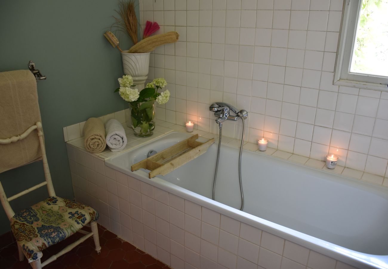 Villa in Saint Remy de Provence - Holidays rental with pool in Saint-Rémy-de-Provence