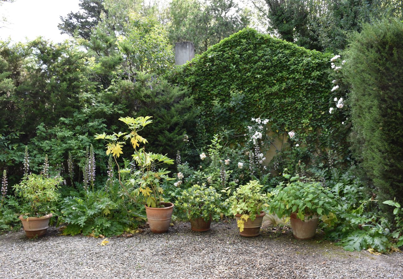 Villa in Saint Remy de Provence - Holidays rental with pool in Saint-Rémy-de-Provence