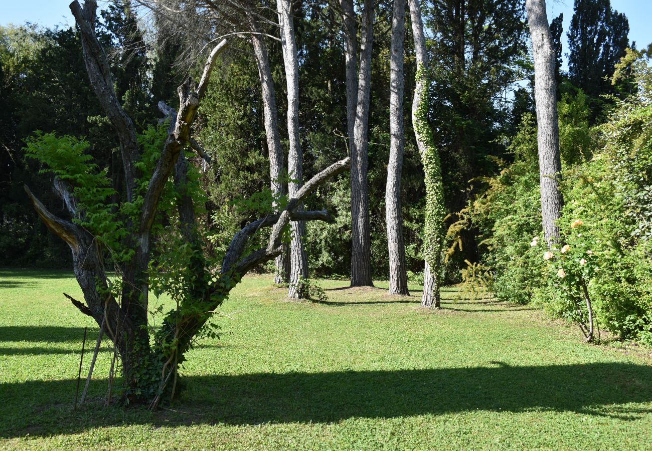 Villa in Saint Remy de Provence - Holidays rental with pool in Saint-Rémy-de-Provence