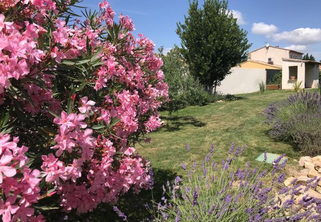 House in Plan-d´Orgon - Holiday rental with pool in the Alpilles for 6 people