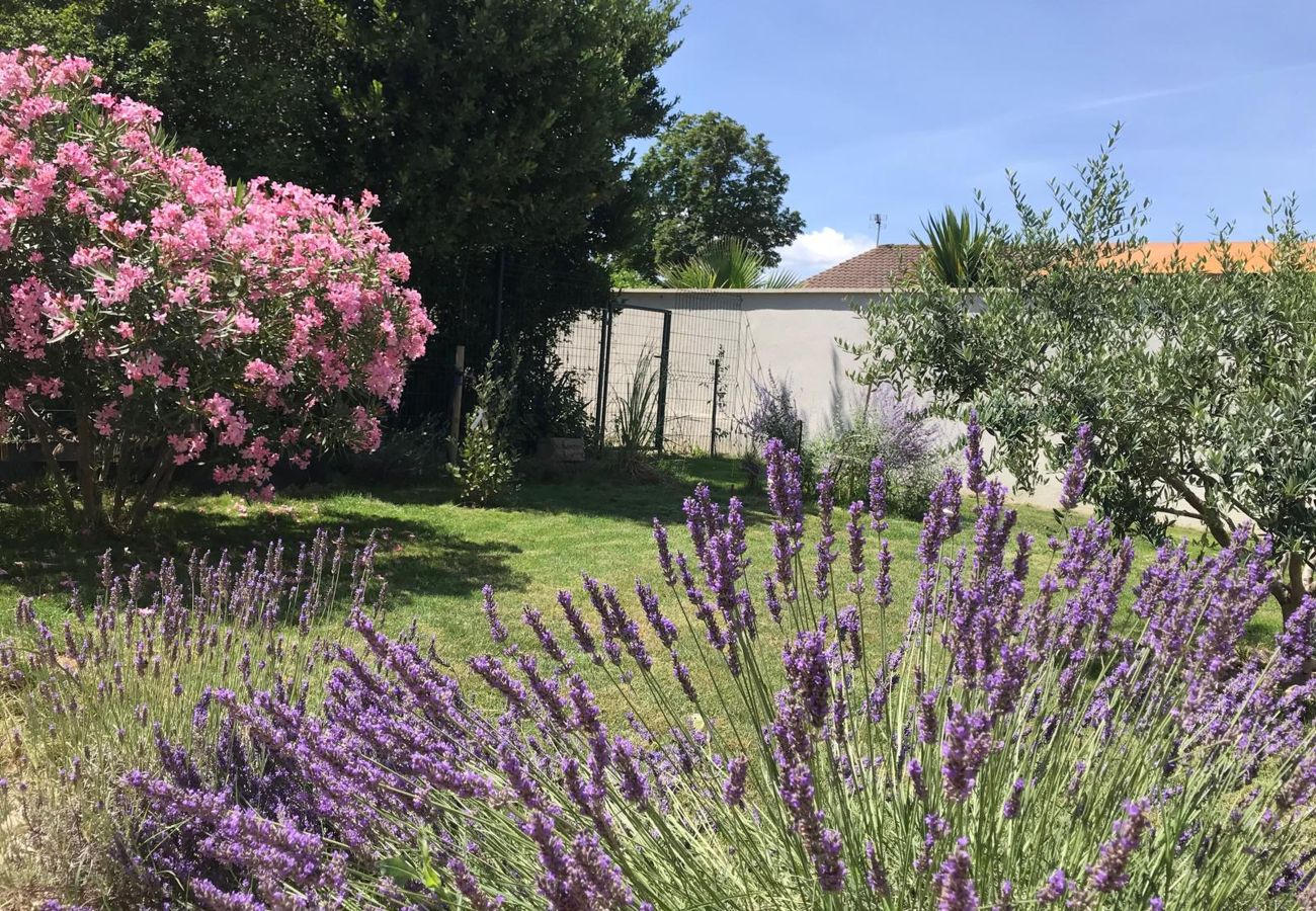 House in Plan-d´Orgon - Holiday rental with pool in the Alpilles for 6 people