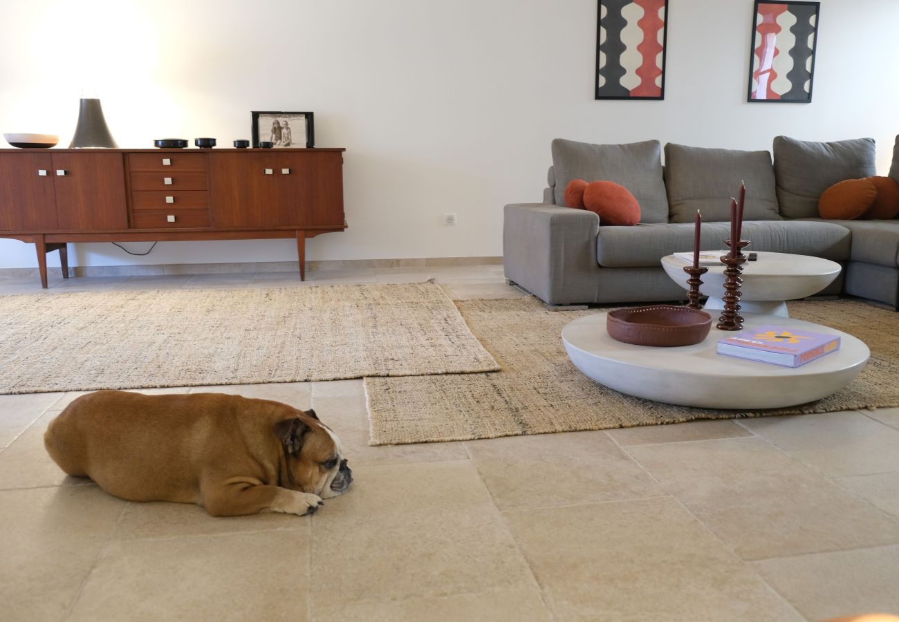 Air-conditioned house, pet-friendly, Mouriès, Alpilles – 6 people