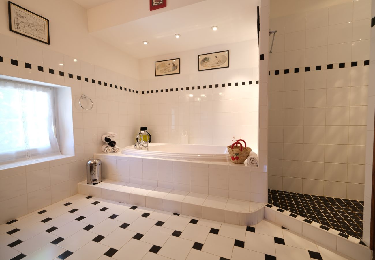  Mas provençal avec piscine, 2 chambre avec 2 belles salles de bain 