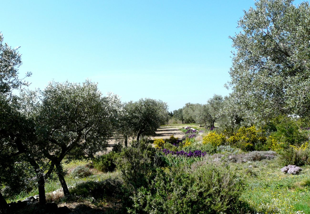 Villa à Mouriès - Location vacances maison piscine MOURIES LS1-174.