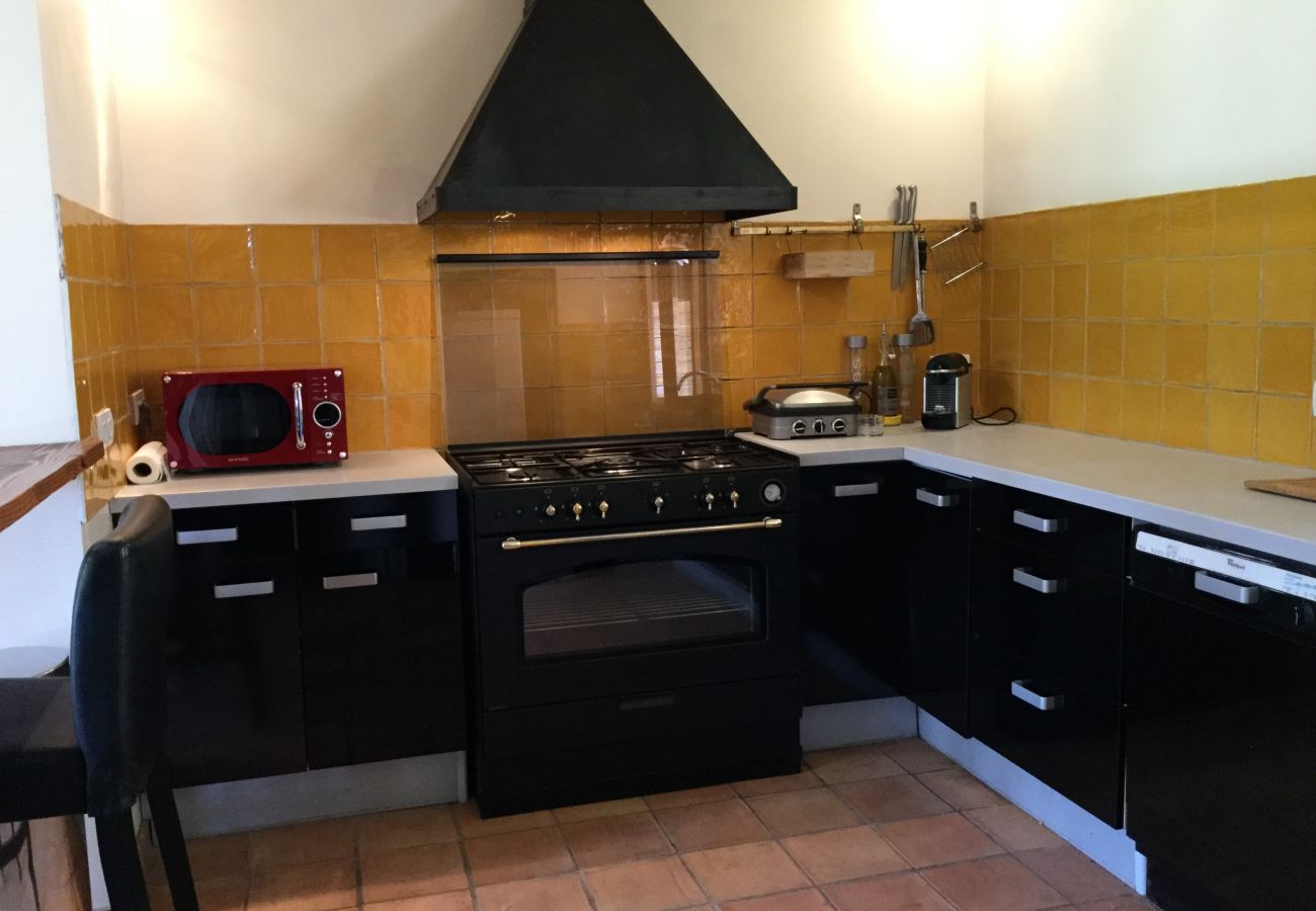 Maison à Fontvieille - Location vacances avec piscine FONTVIEILLE LS1-256.