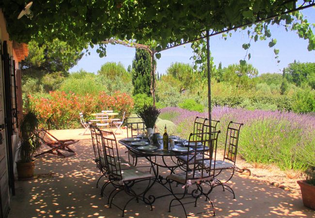 Villa à Saint Remy de Provence - Location vacances SAINT REMY DE PROVENCE LS1-196. Villa à Saint Remy de Provence - Location vacances SAINT REMY DE PROVENCE LS1-196.