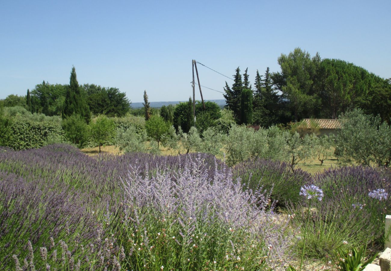 Villa à Saint Remy de Provence - Location vacances SAINT REMY DE PROVENCE LS1-196.