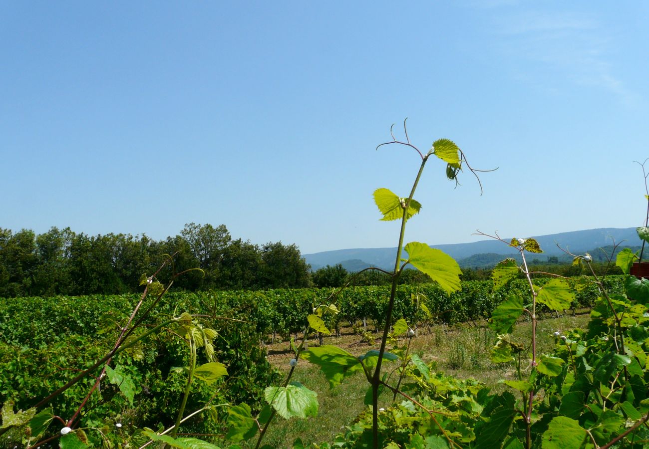 Villa à Gordes - Location vacances maison piscine GORDES LS2-107.