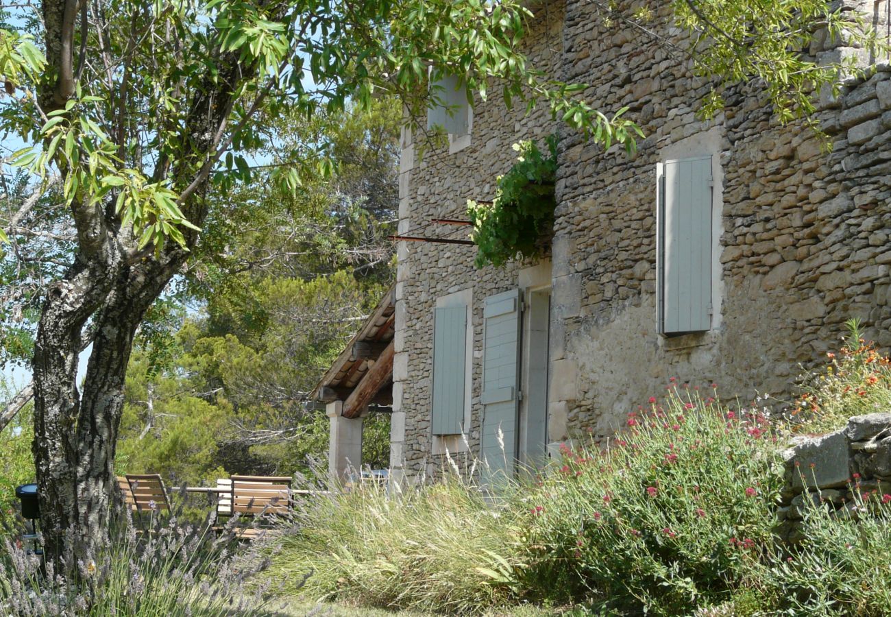 Villa à Lacoste - Location vacances maison piscine LACOSTE LS2-239.