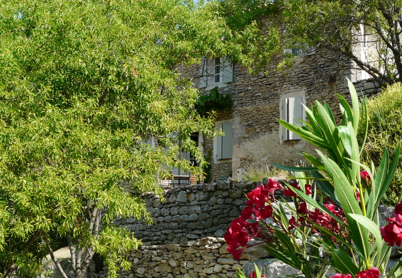 Villa à Lacoste - Location vacances maison piscine LACOSTE LS2-239.