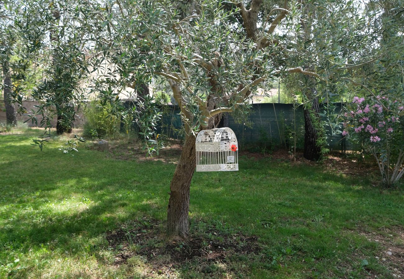 Maison à Taillades - Location vacances maison piscine TAILLADES LS2-317.
