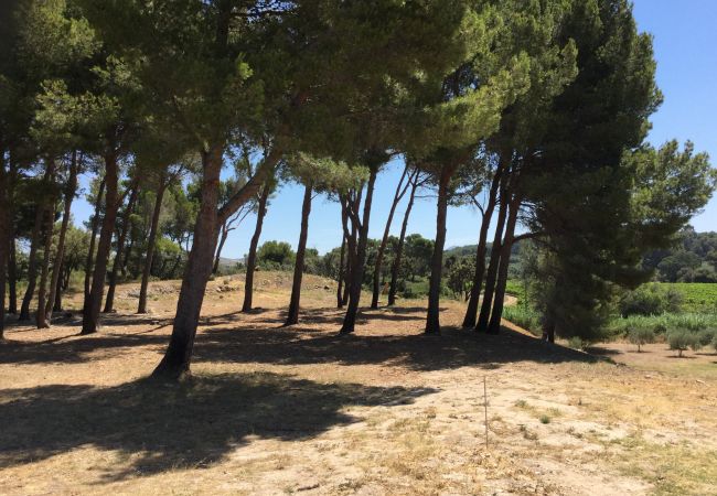 Maison à Maussane-les-Alpilles - Location vacances maison piscine MAUSSANE LES ALPILLES LS1-314 Maison à Maussane-les-Alpilles - Location vacances maison piscine MAUSSANE LES ALPILLES LS1-314