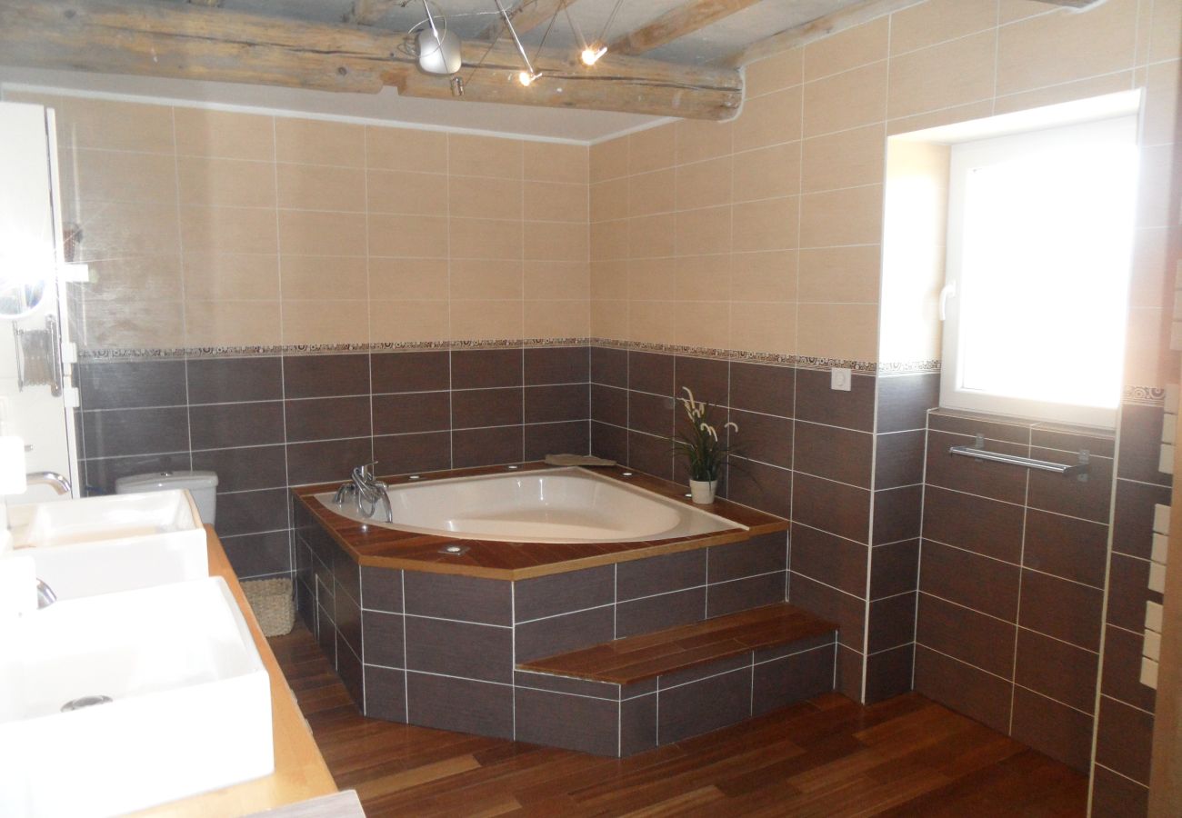 Villa à Barbentane - Location vacances avec piscine BARBENTANE LS6-255.