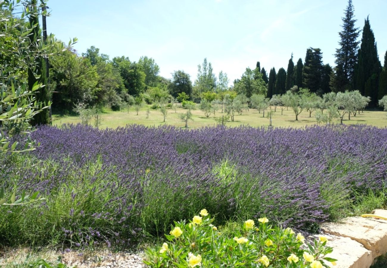 Villa à Salon-de-Provence - Location vacances  luxe SALON DE PROVENCE LS7-351