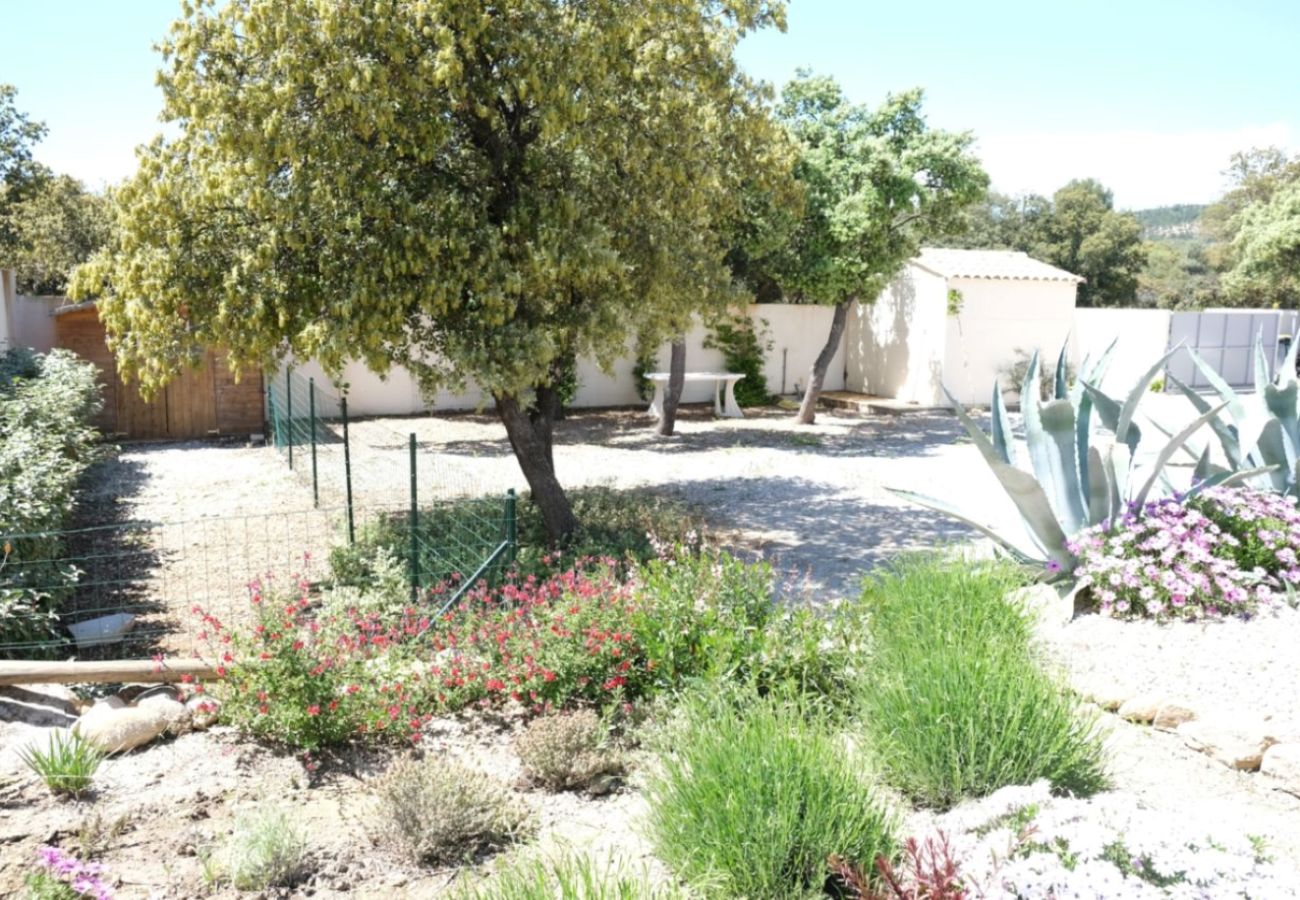 Villa à Aureille - Location vacances maison piscine AUREILLE LS1-373.