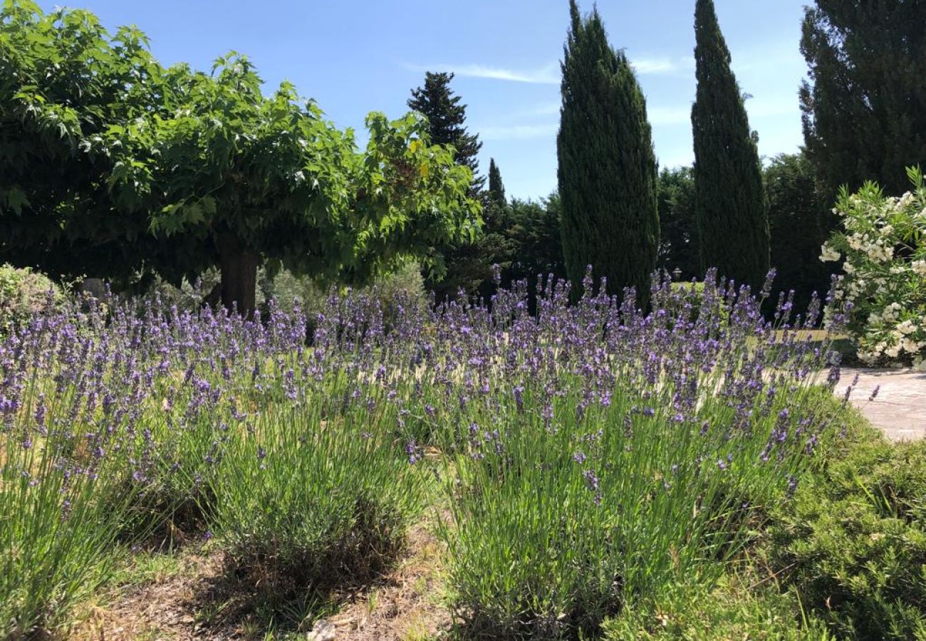 Villa à Saint Remy de Provence - Location vacances SAINT REMY DE PROVENCE LS1-412.