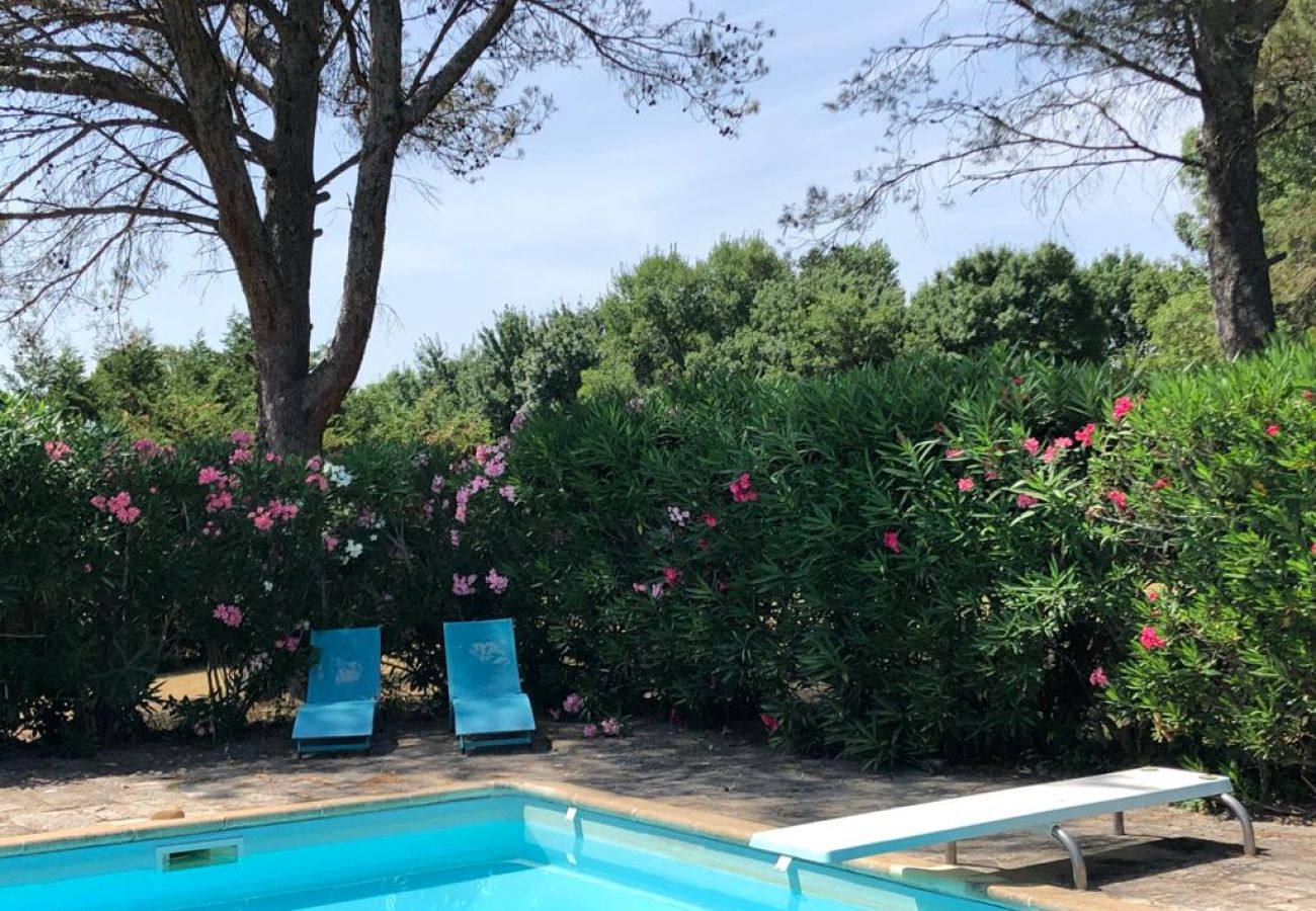 Villa à Saint Remy de Provence - Location vacances SAINT REMY DE PROVENCE LS1-412.