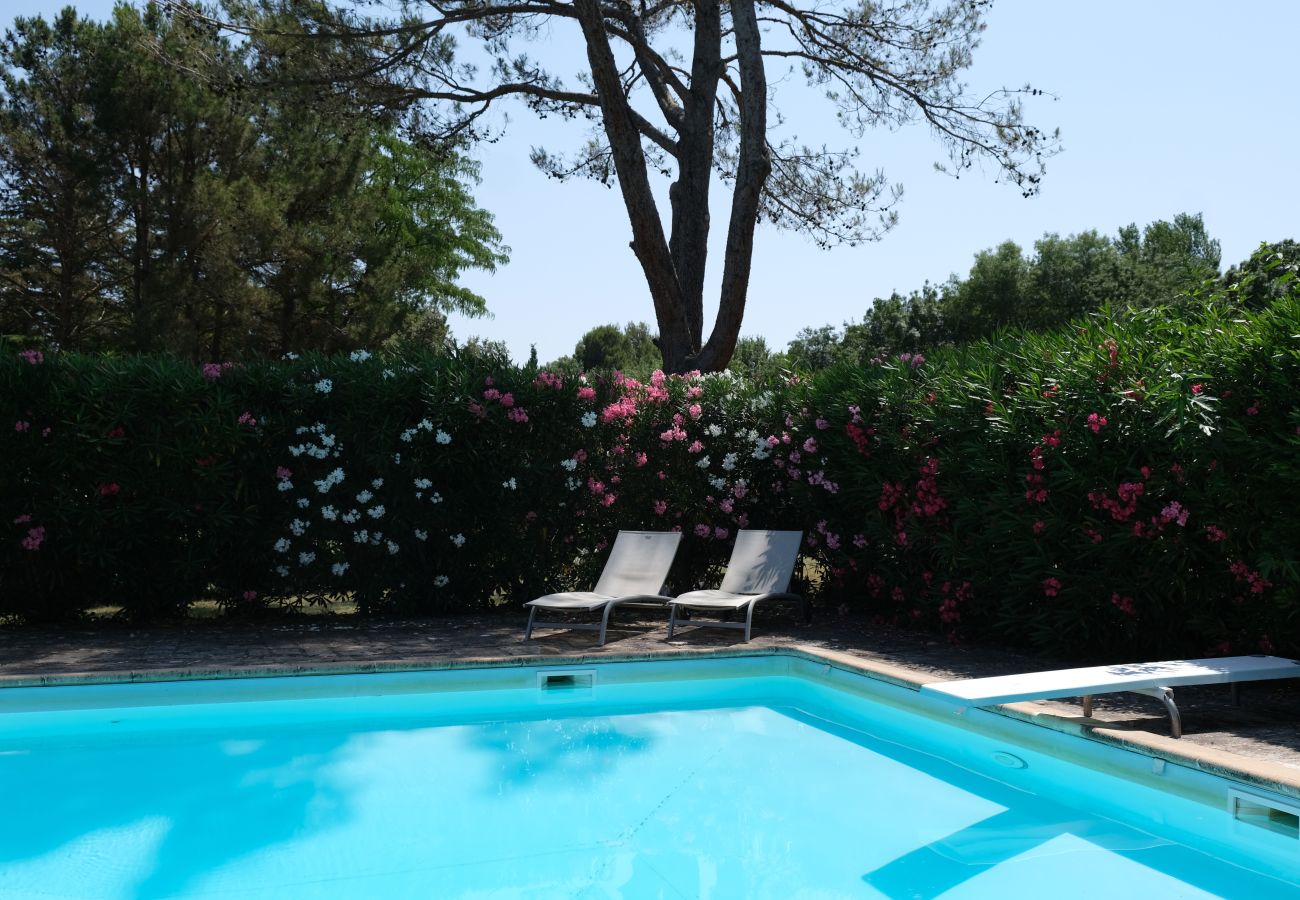 Maison à Saint Remy de Provence - Location vacances SAINT REMY DE PROVENCE LS1-412
