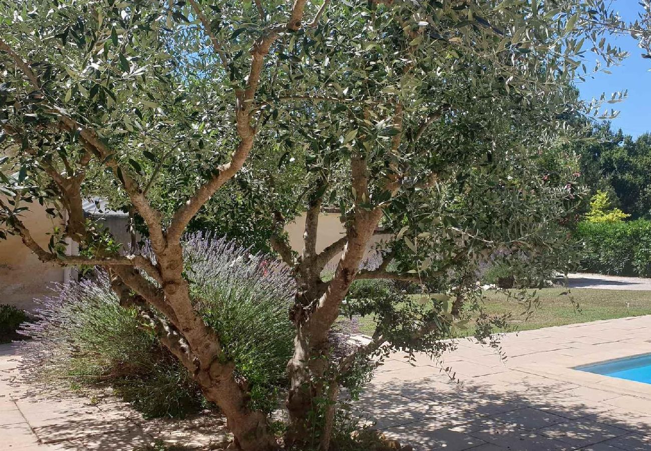 Villa à Le Beaucet - Location vacances maison piscine ALTHEN LES PALUDS  LS6-71.