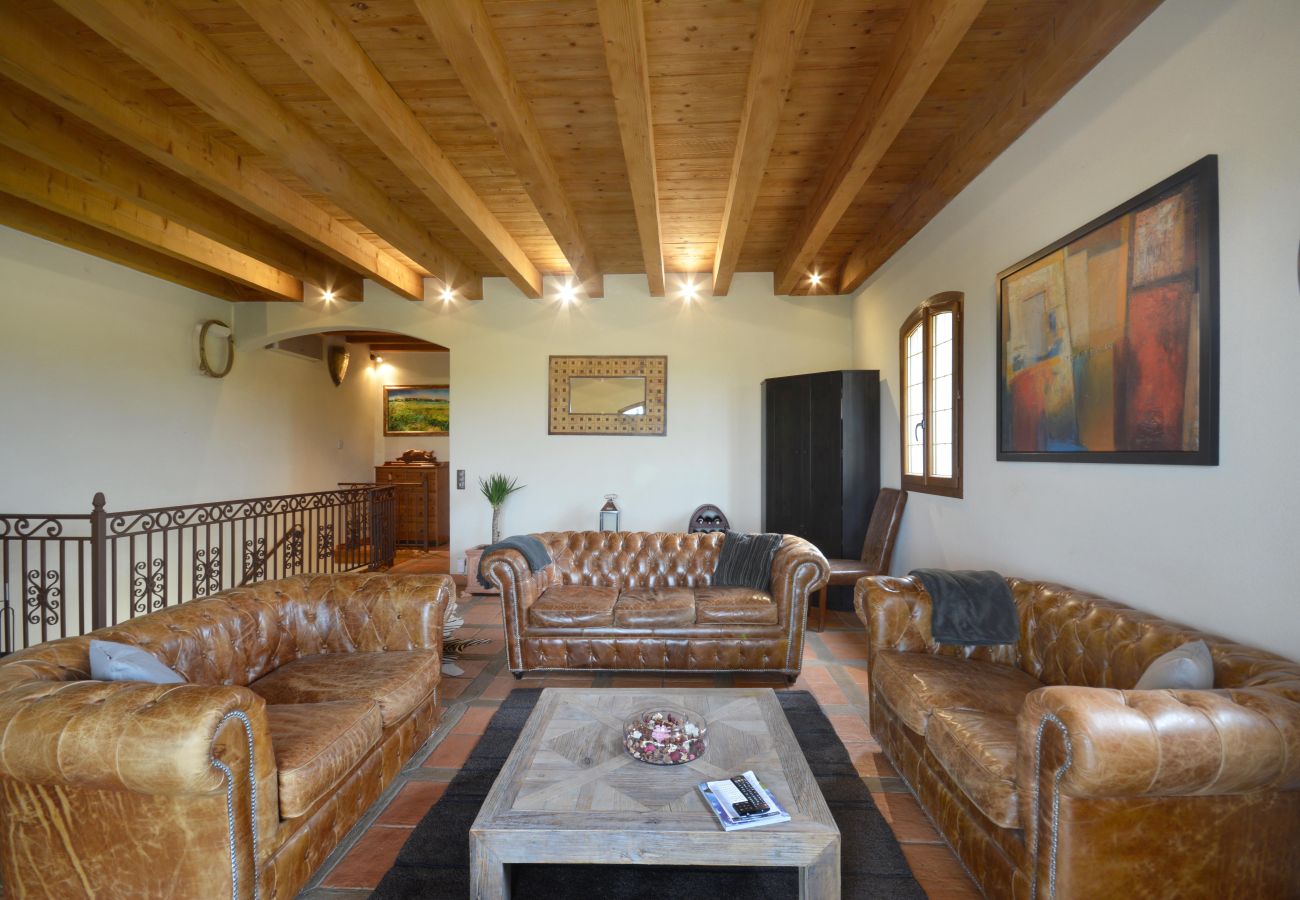 Maison à Arles - Location vacances maison piscine MOULES LS3-299.