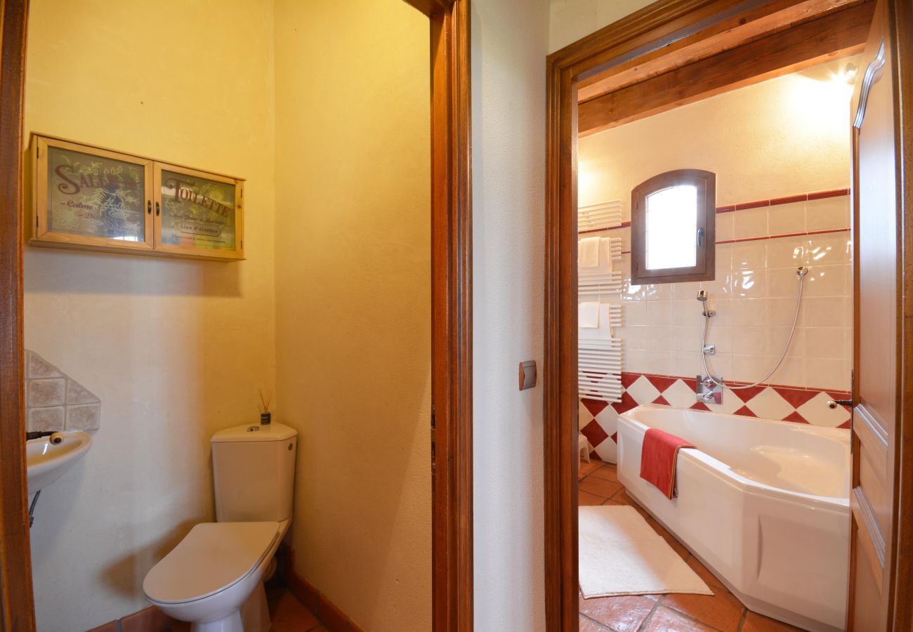 Maison à Arles - Location vacances maison piscine MOULES LS3-299.