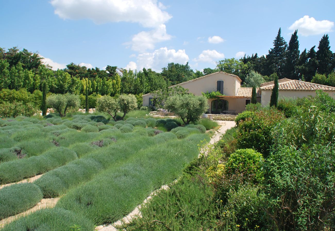 Villa à Maussane-les-Alpilles - Location vacances piscine MAUSSANE LS1-226.