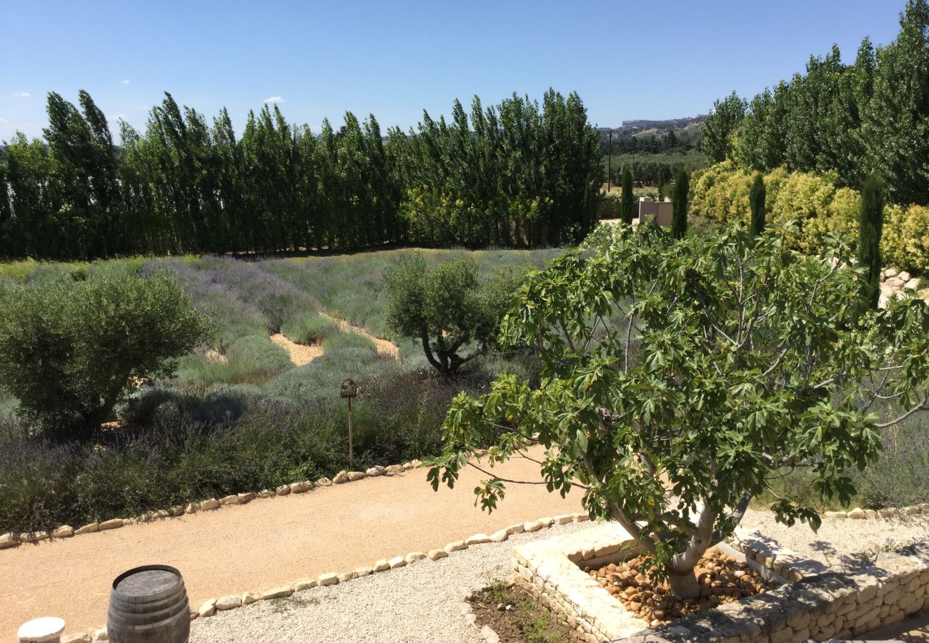 Villa à Maussane-les-Alpilles - Location vacances piscine MAUSSANE LS1-226.