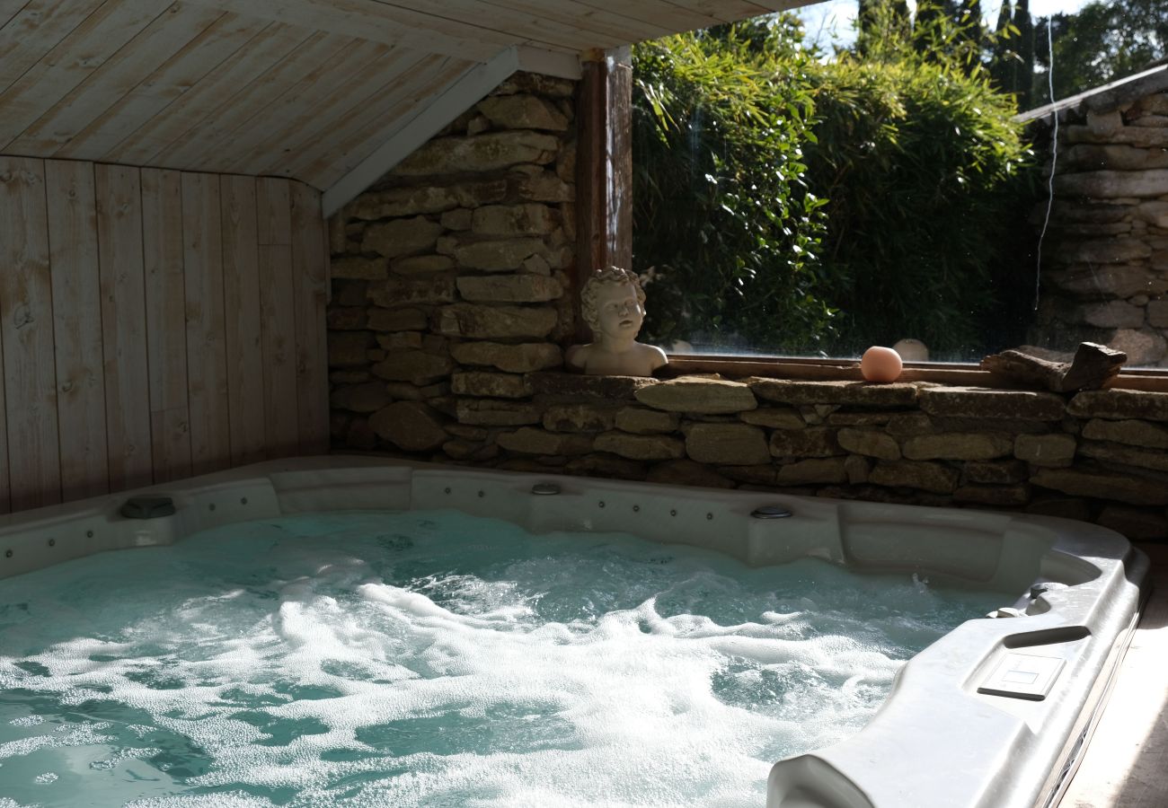 Villa à L´Isle sur la Sorgue - Mas Luxe Piscine chauffée Jacuzzi à L'Isle sur la Sorgue 