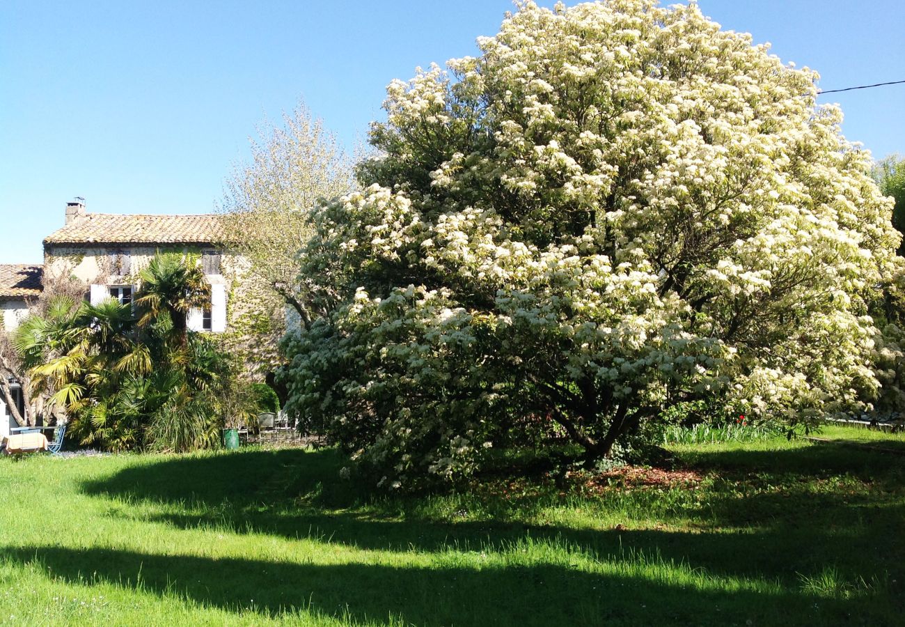 Villa à Saint Remy de Provence - Location Mas Piscine Saint-Rémy-de-Provence 8 pers