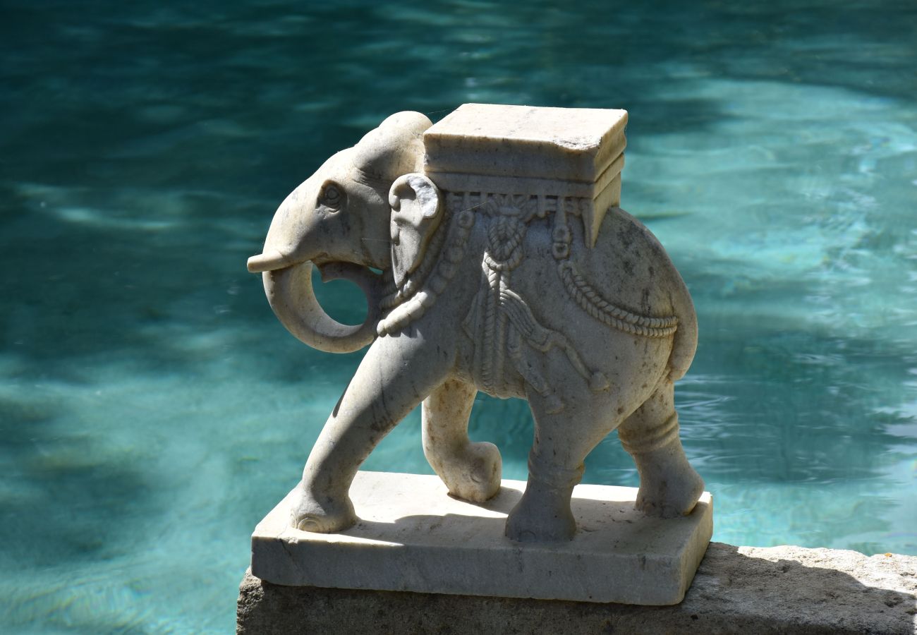 Villa à Saint Remy de Provence - Location Mas Piscine Saint-Rémy-de-Provence 8 pers