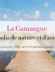La Camargue : Un Paradis de Nature et d'Aventures